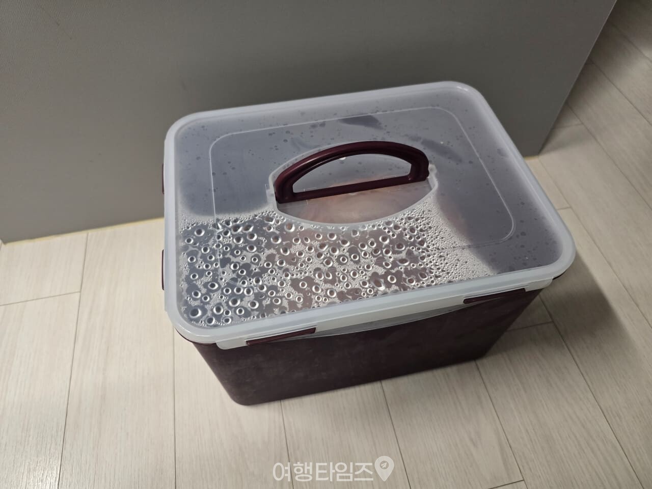 김치통 / 사진=여행타임즈