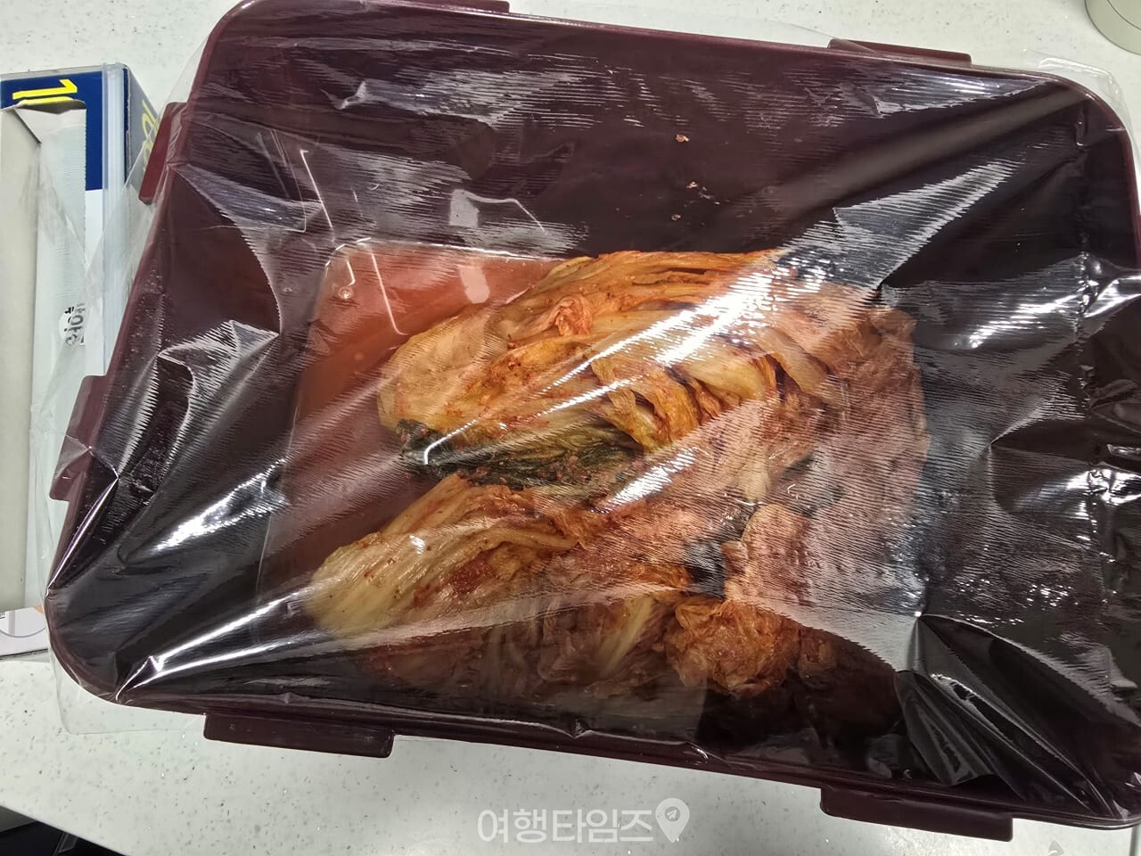 김치통 / 사진=여행타임즈