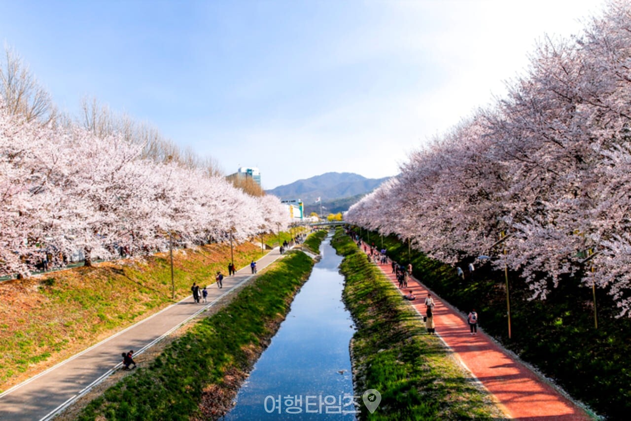 양재천 / 사진=게티이미지뱅크