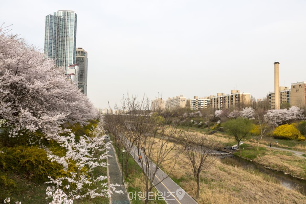 양재천 / 사진=게티이미지뱅크