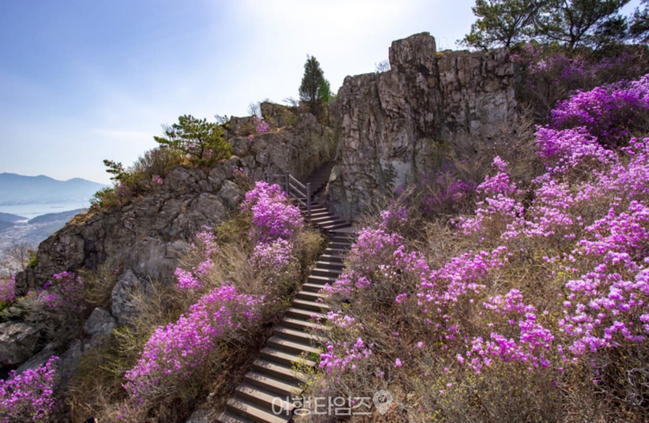 영취산 진달래 / 사진=게티이미지뱅크