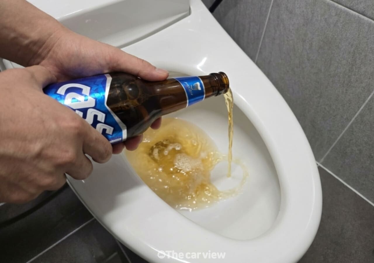 맥주로 화장실 변기 청소 / 사진=더카뷰