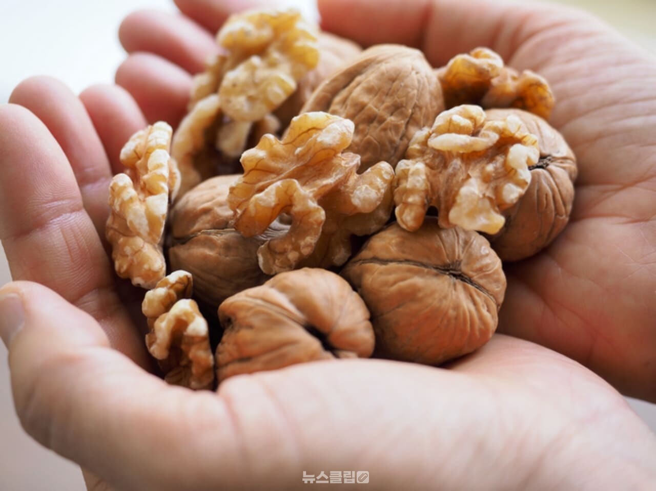 견과류 / 사진=게티이미지뱅크