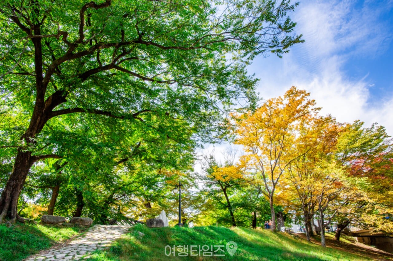 담양 관방제림 / 사진=게티이미지뱅크