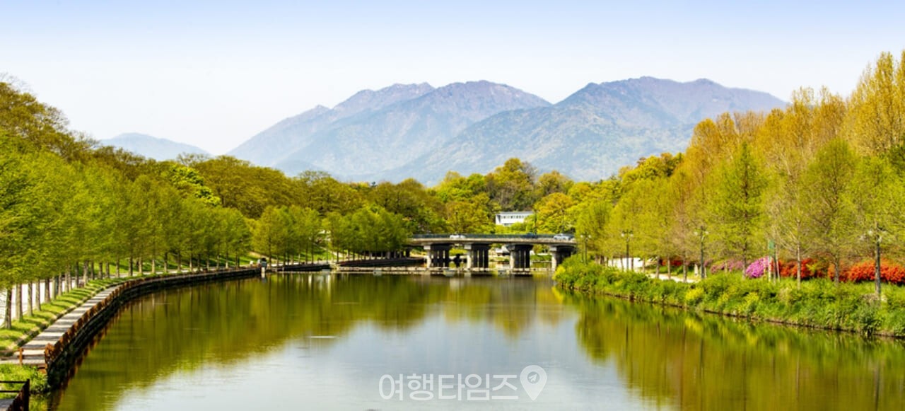 담양 관방제림 / 사진=게티이미지뱅크
