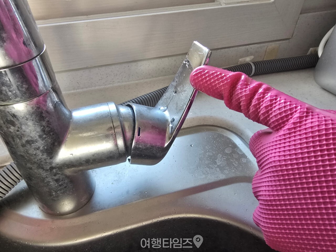 설거지 수세미 / 사진=여행타임즈
