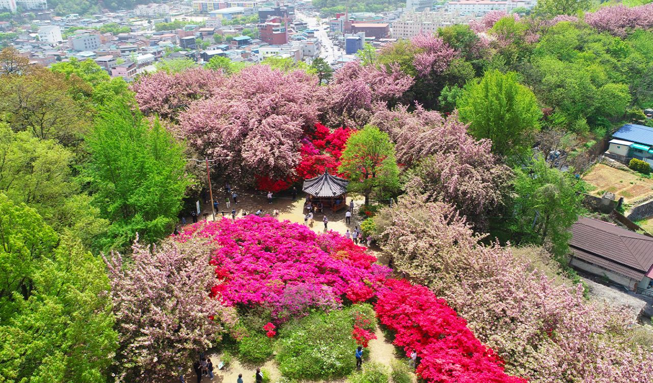 사진=비짓전주