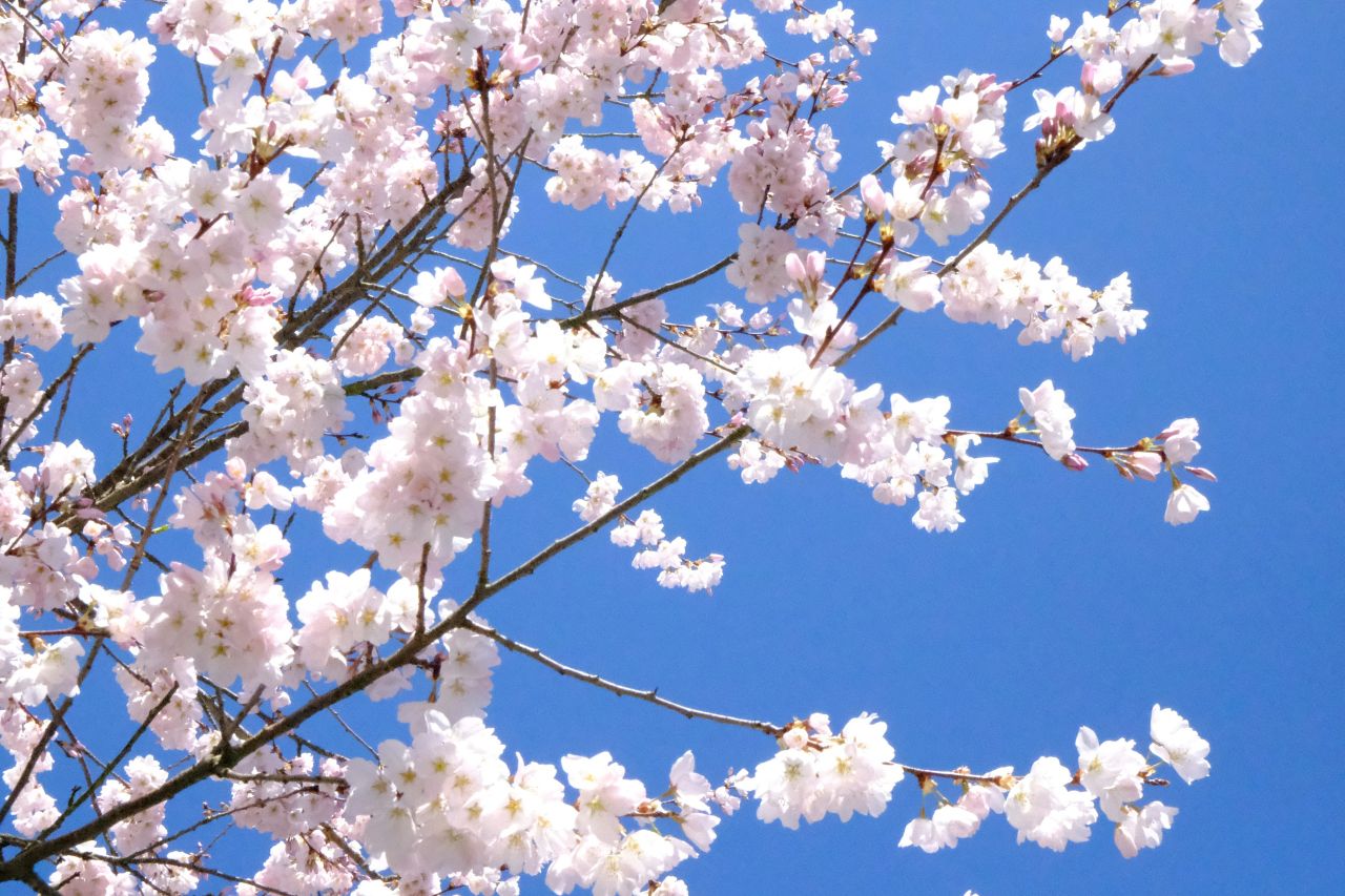 사진=unsplash@Poorvi