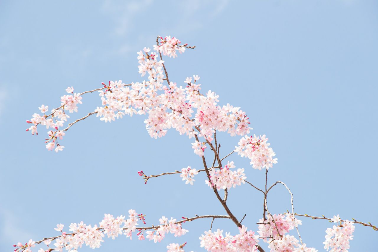 사진=unsplash@enkuu smile