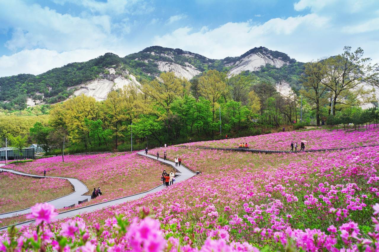 불암산 바위 능선과 철쭝 / 사진=노원구 제공