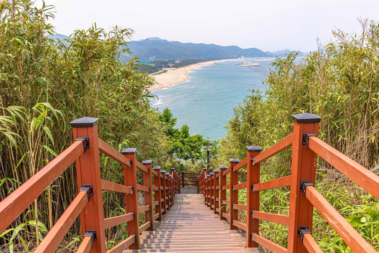 해안코스