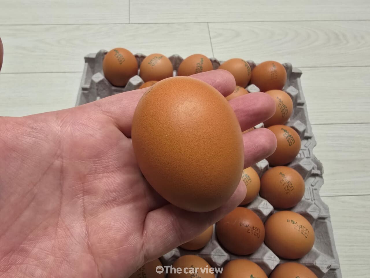 계란 / 사진=더카뷰
