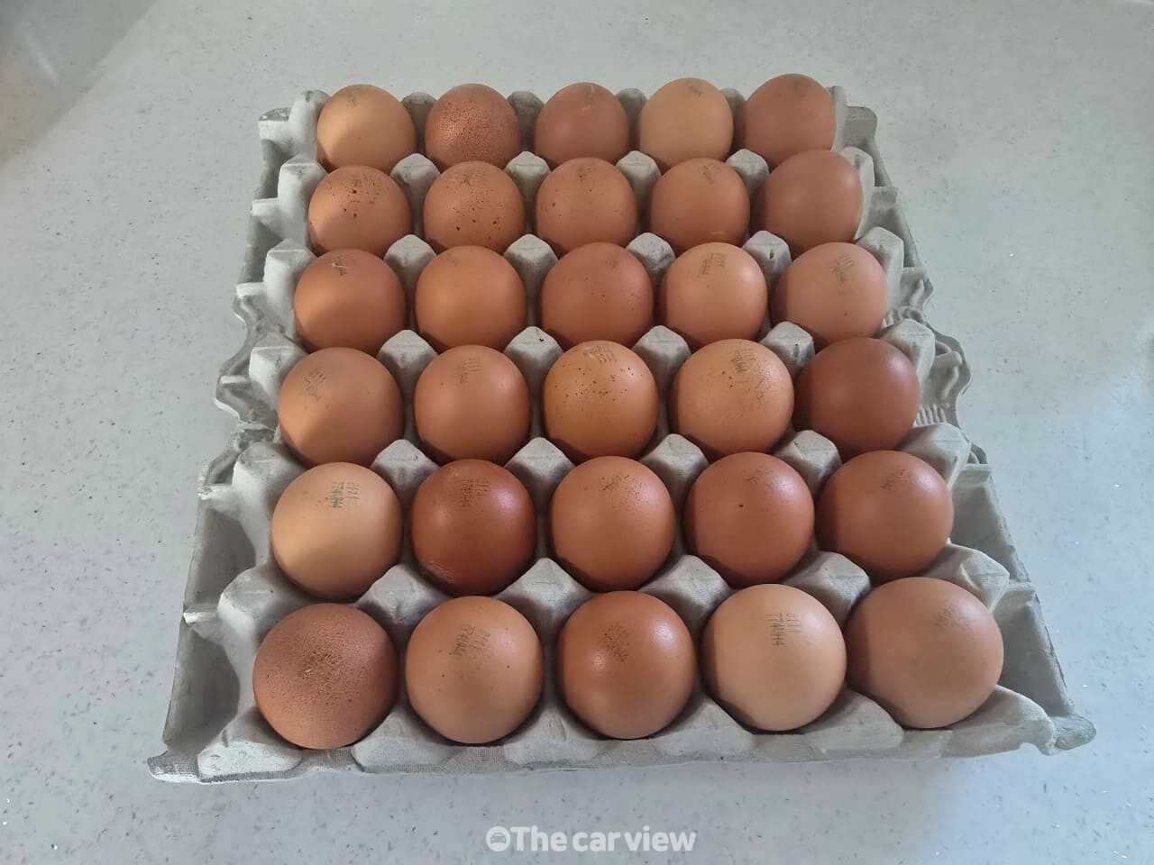 계란판 살림 활용 방법 / 사진=더카뷰