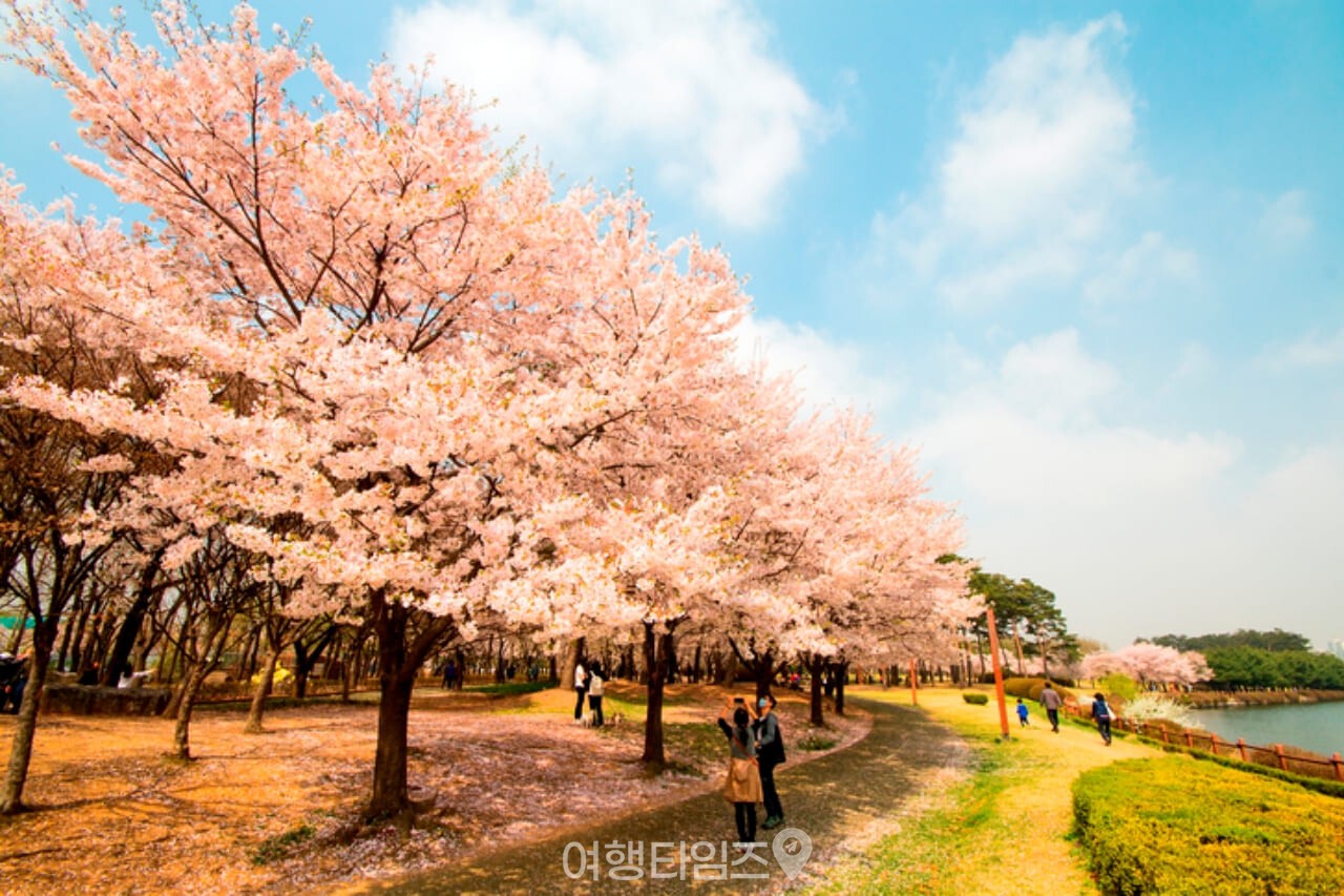 일산호수공원 / 사진=게티이미지뱅크