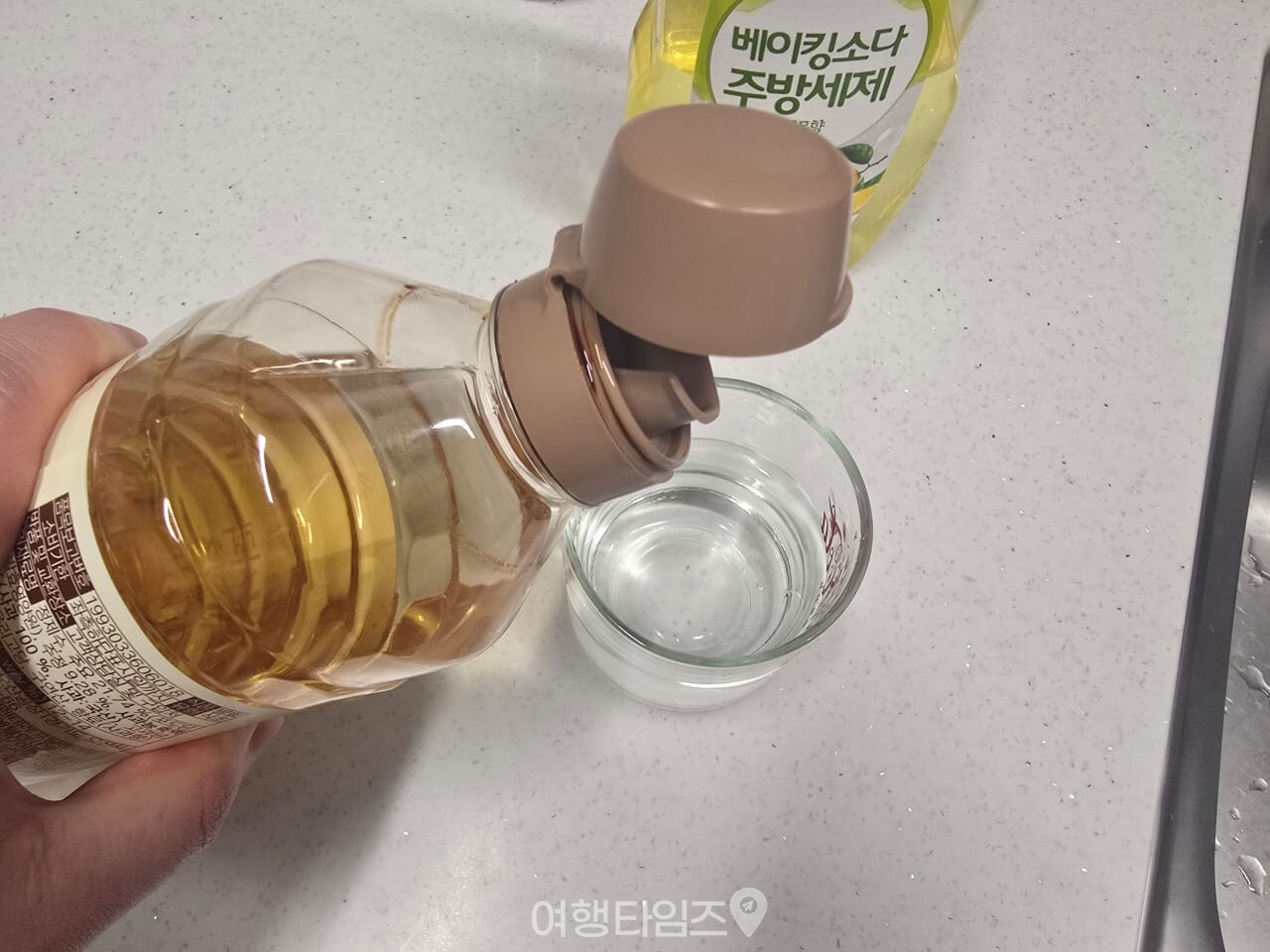 초파리 트랩 / 사진=여행타임즈