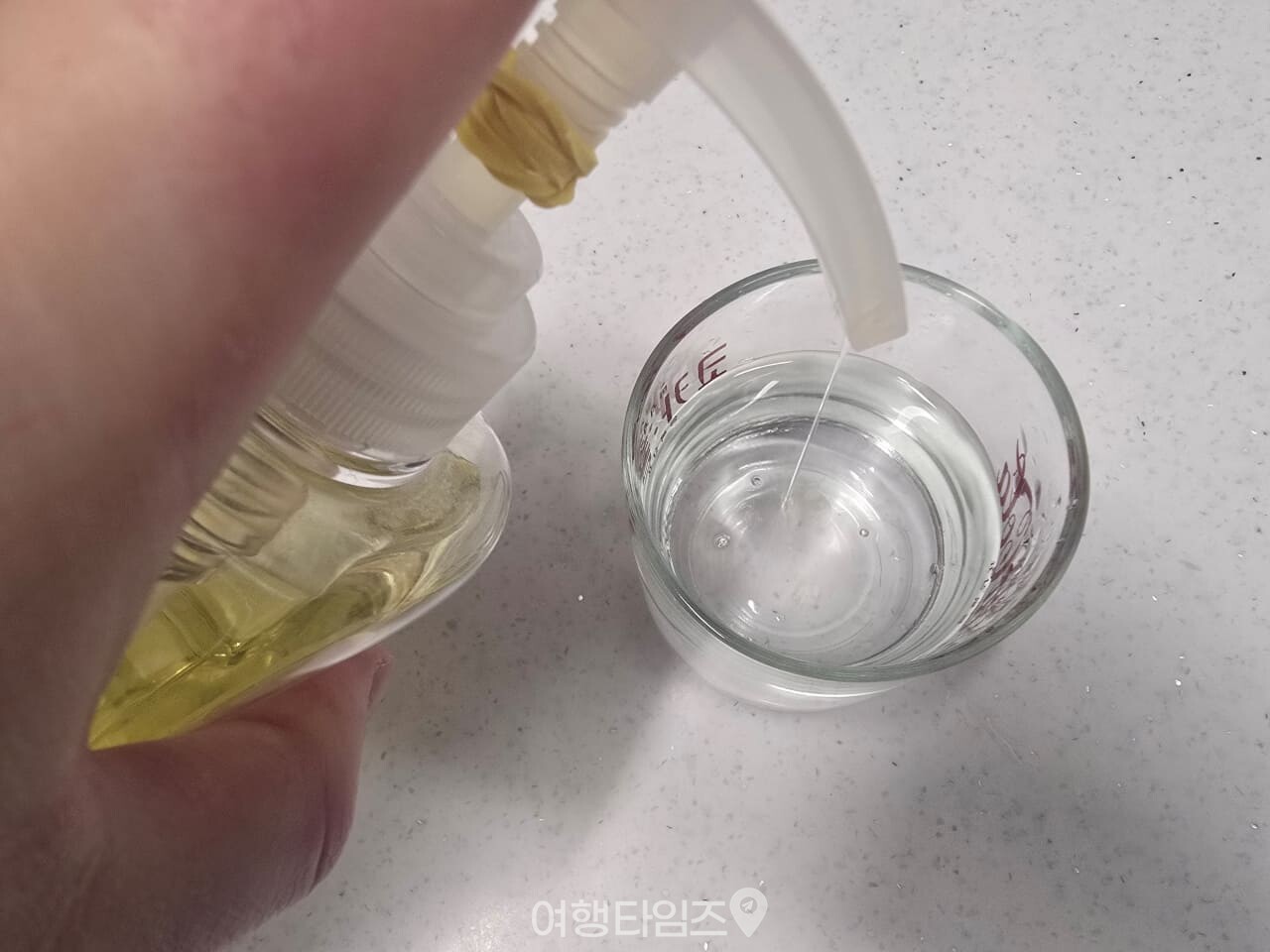 초파리 트랩 / 사진=여행타임즈