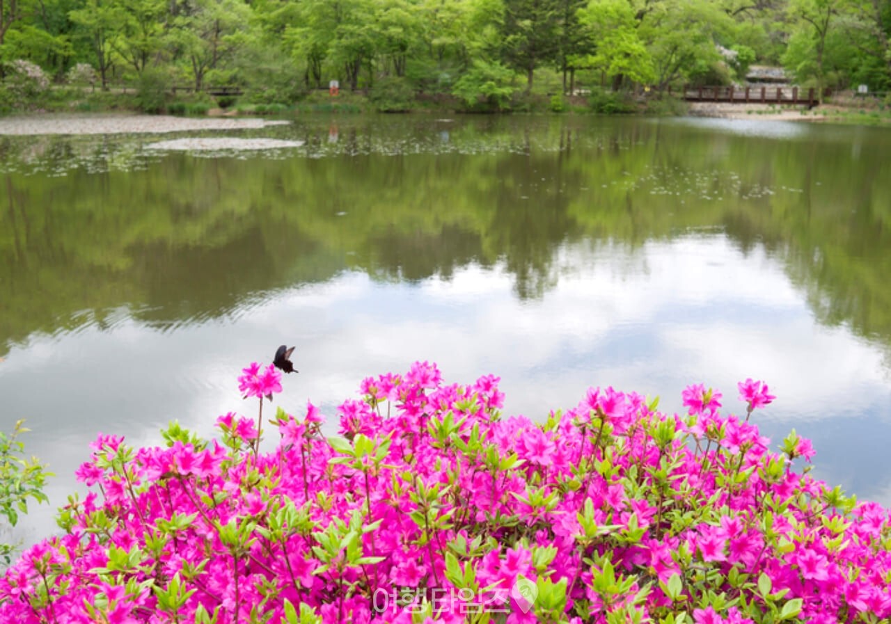 국립수목원 / 사진=게티이미지뱅크