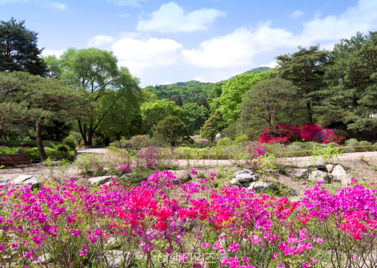 국립수목원 / 사진=게티이미지뱅크