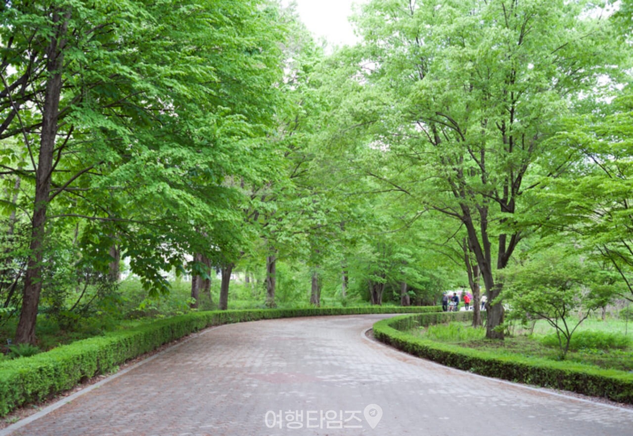 국립수목원 / 사진=게티이미지뱅크