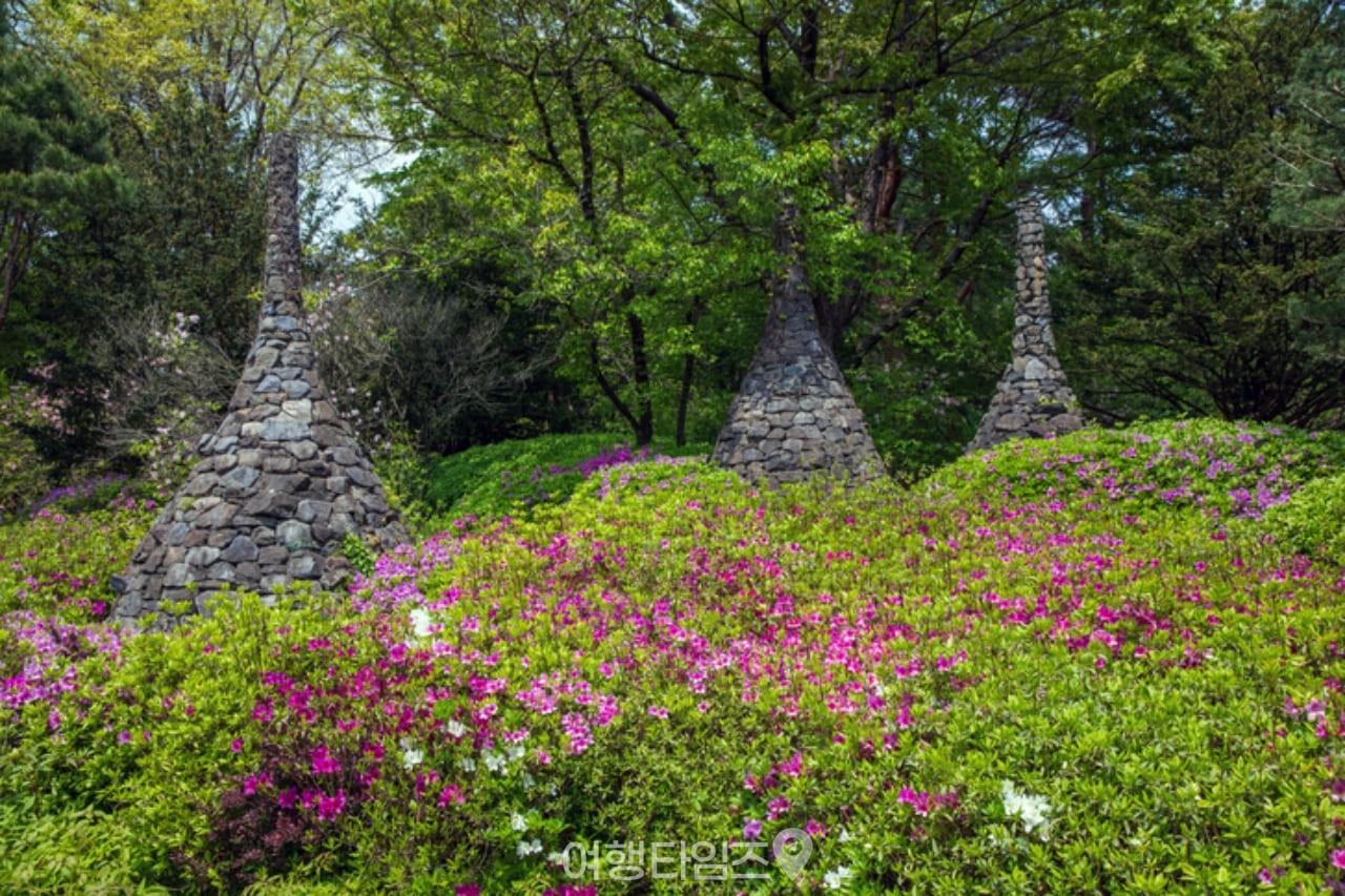 국립수목원 / 사진=게티이미지뱅크