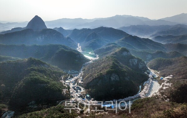 진안 마이산  십리벚꽃길 모습 / 사진_투어코리아 유지훈 기자