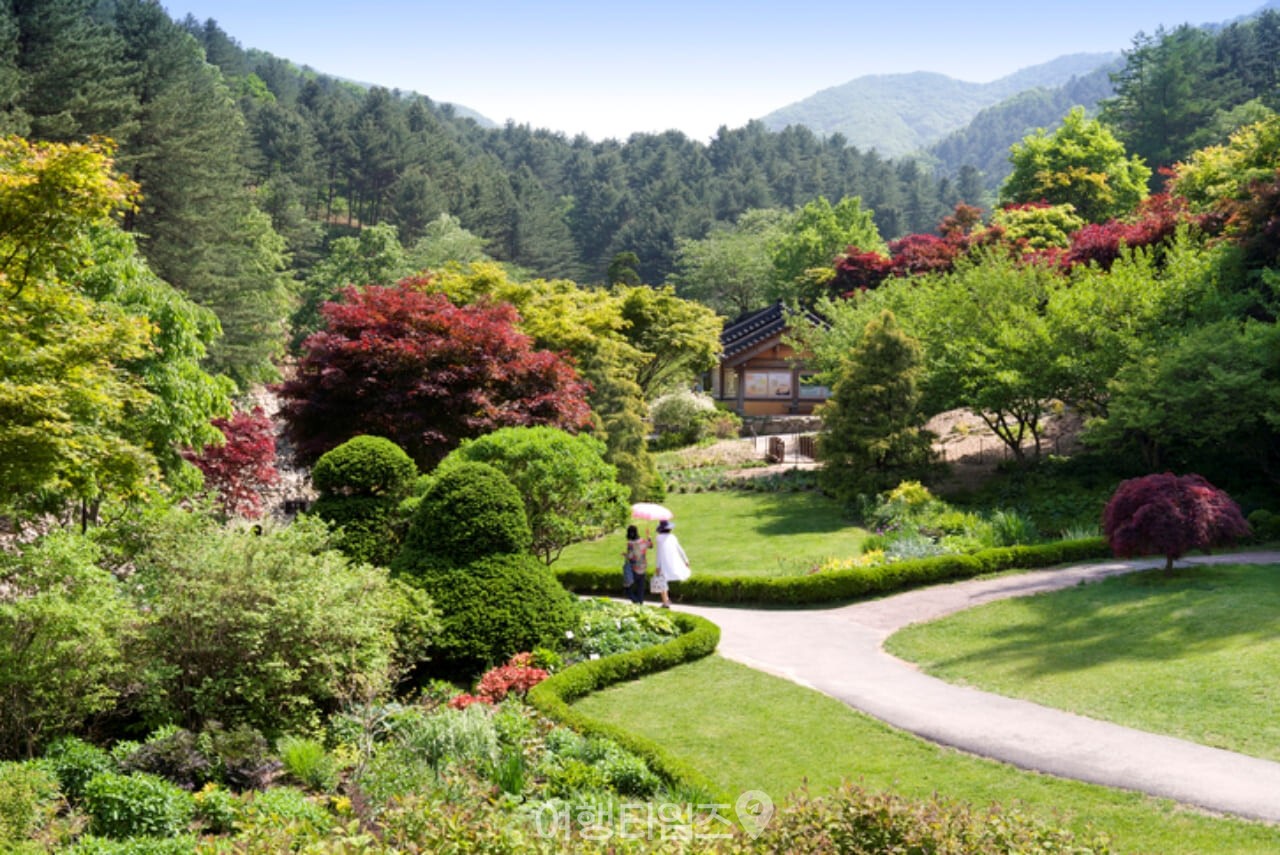 아침고요수목원 / 사진=게티이미지뱅크