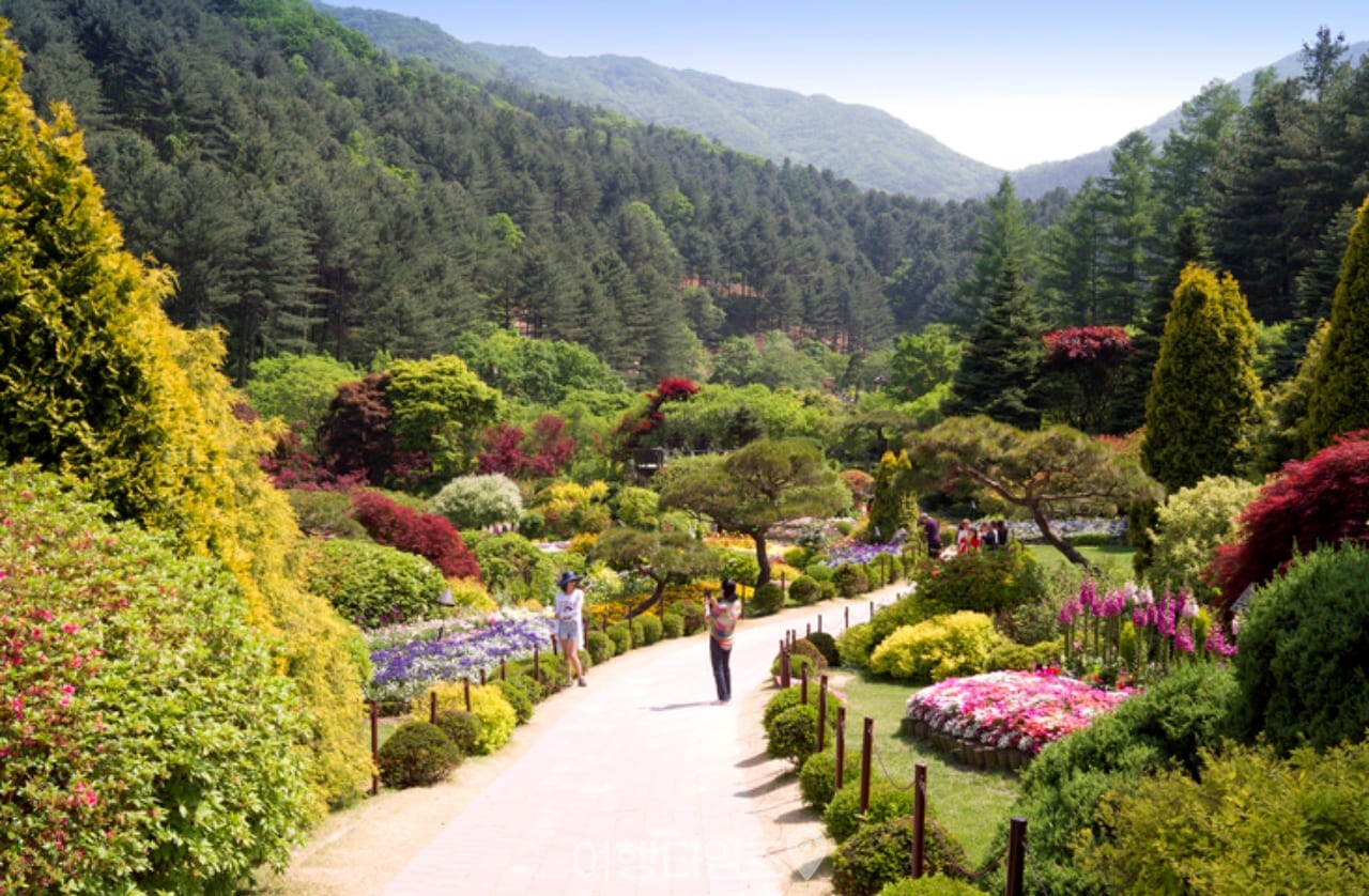 아침고요수목원 / 사진=게티이미지뱅크