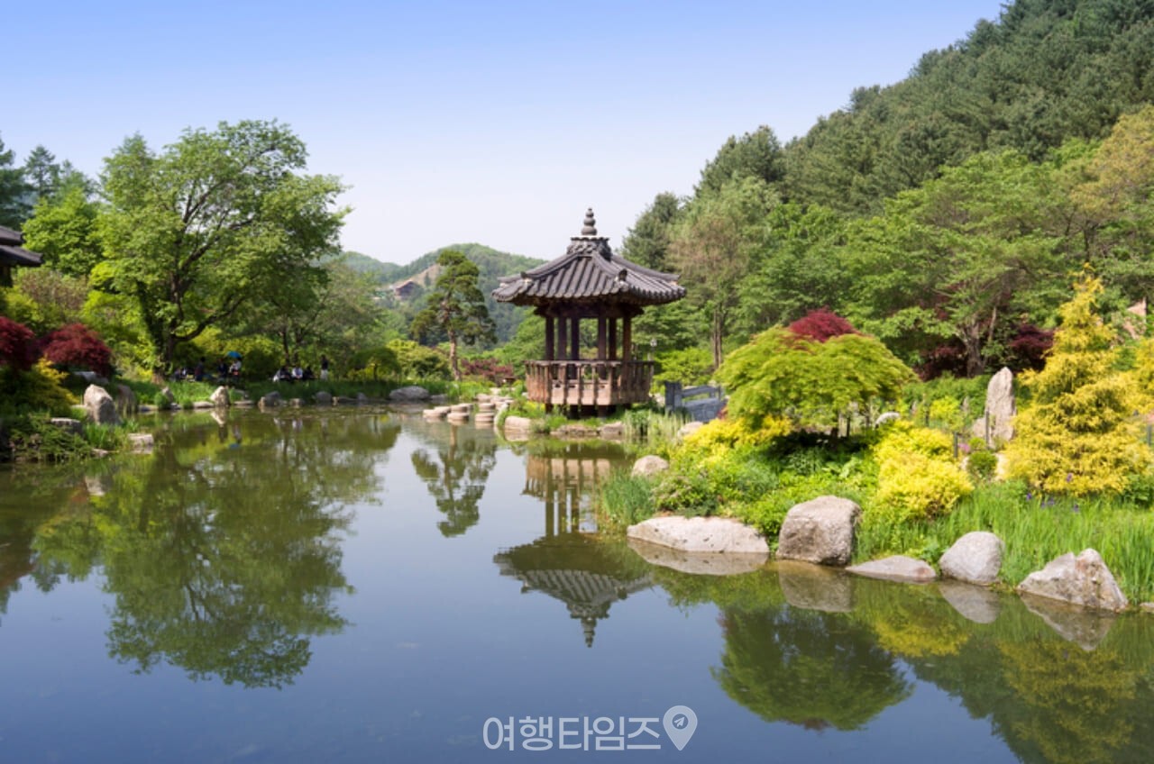 아침고요수목원 / 사진=게티이미지뱅크