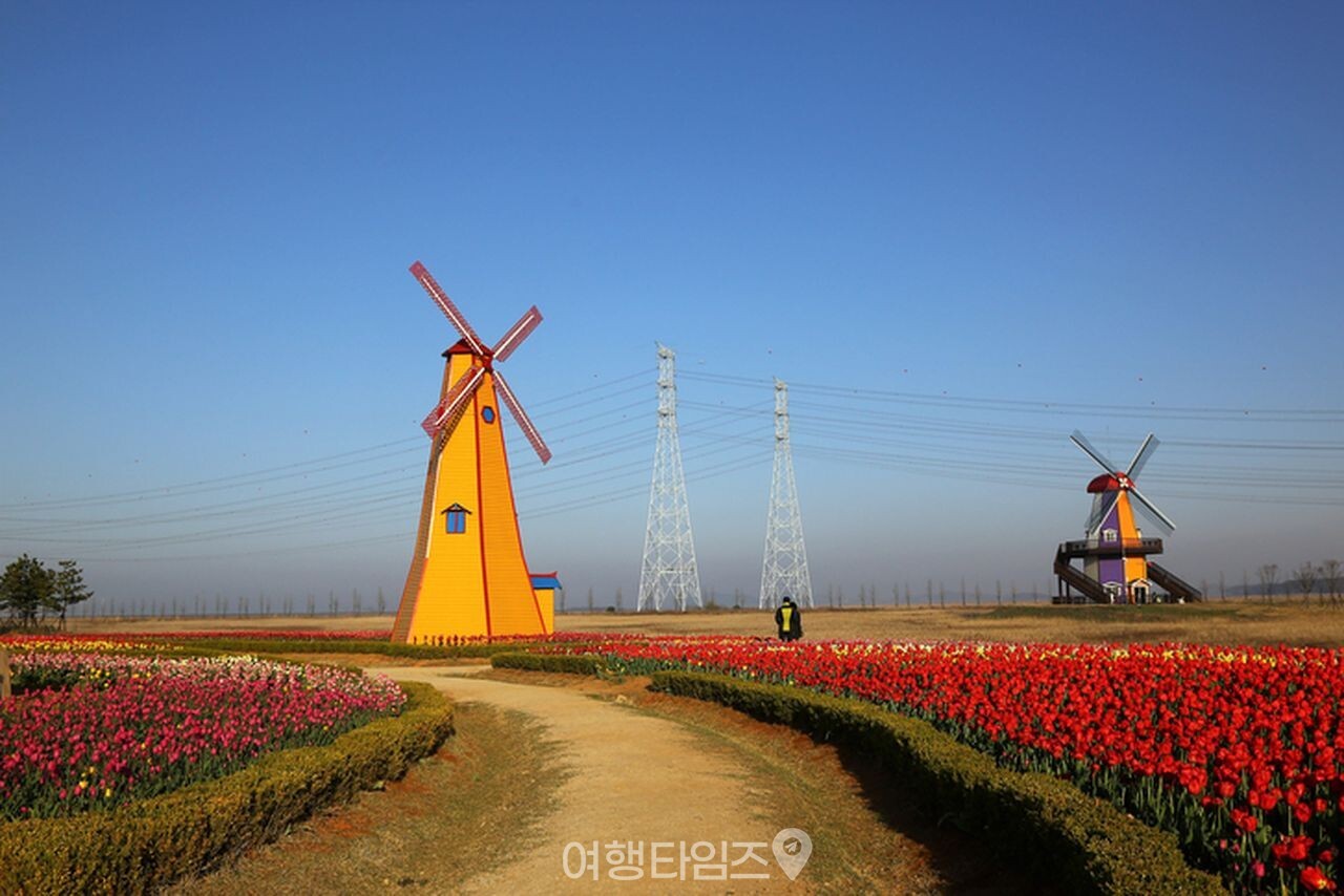 대부도 / 사진=게티이미지뱅크