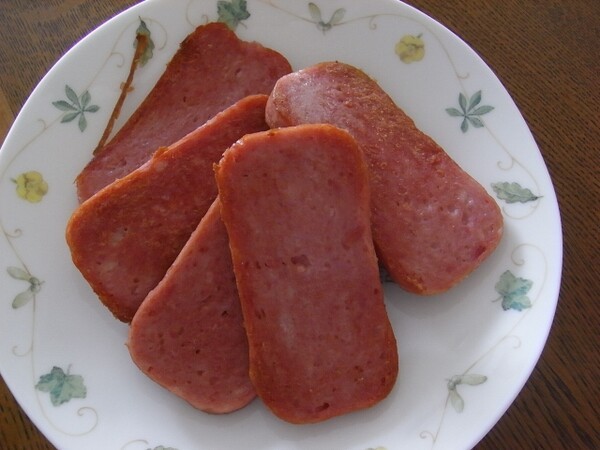 hozondic