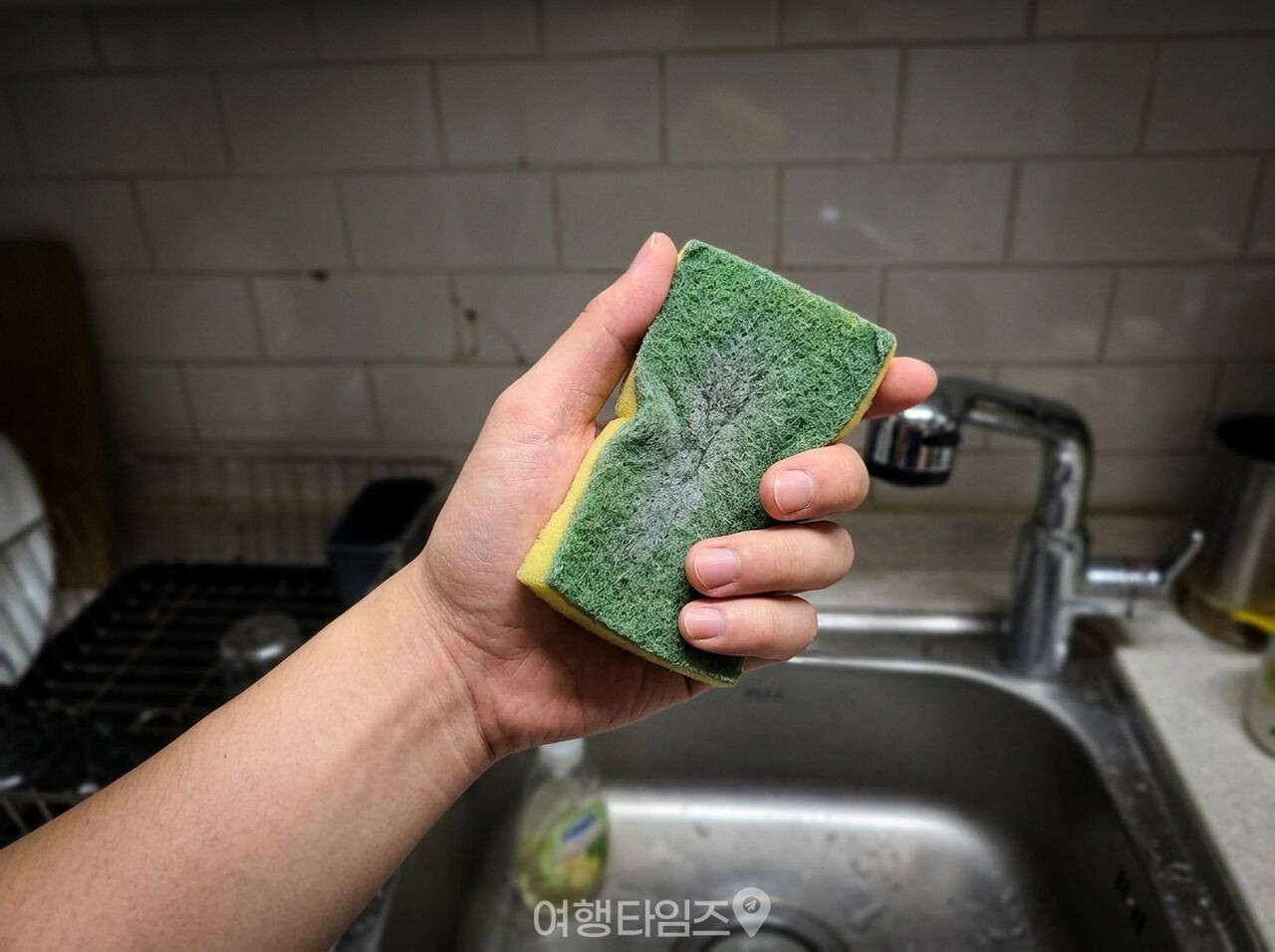설거지 수세미 / 사진=여행타임즈