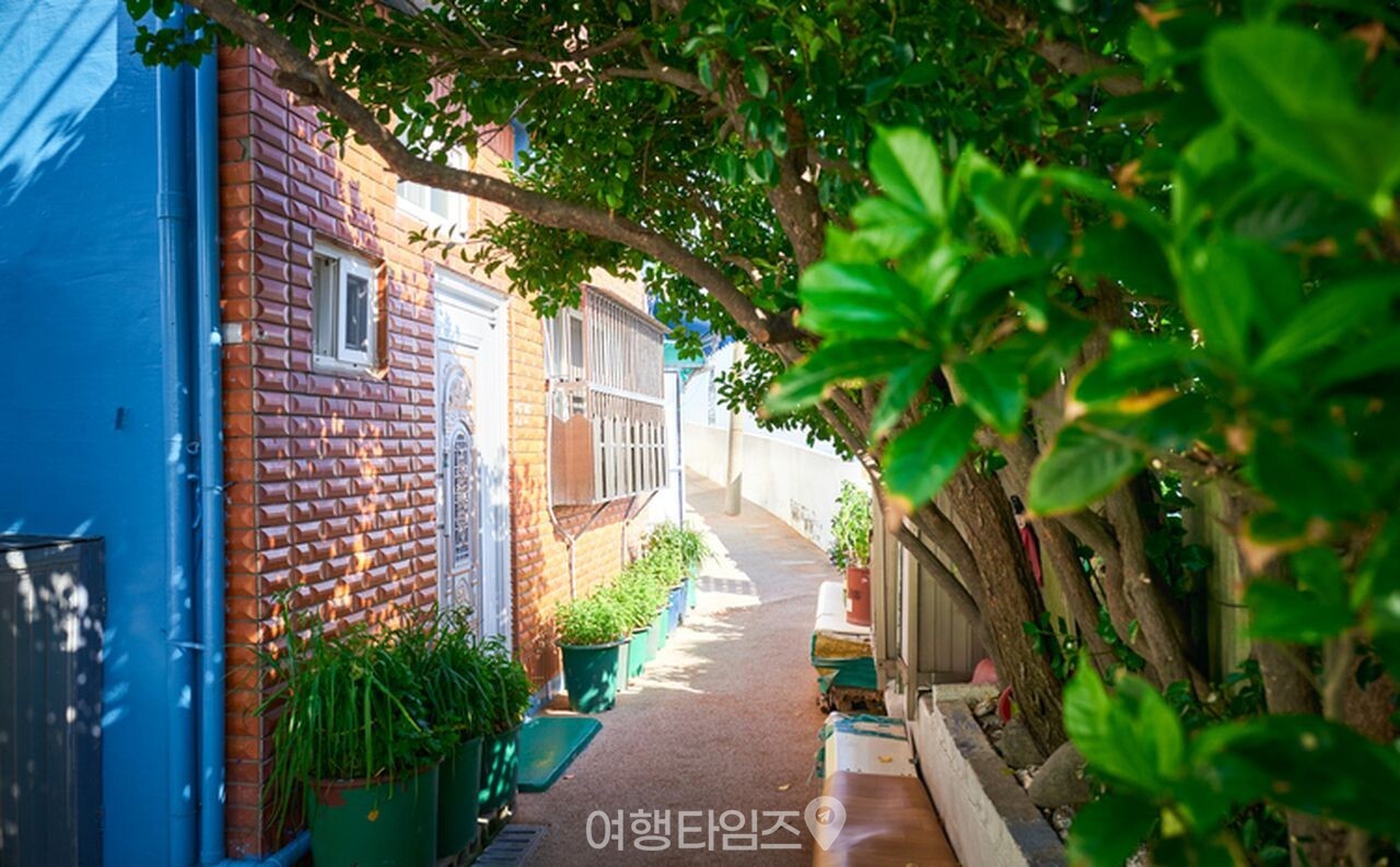 부산 감천문화마을 / 사진=게티이미지뱅크
