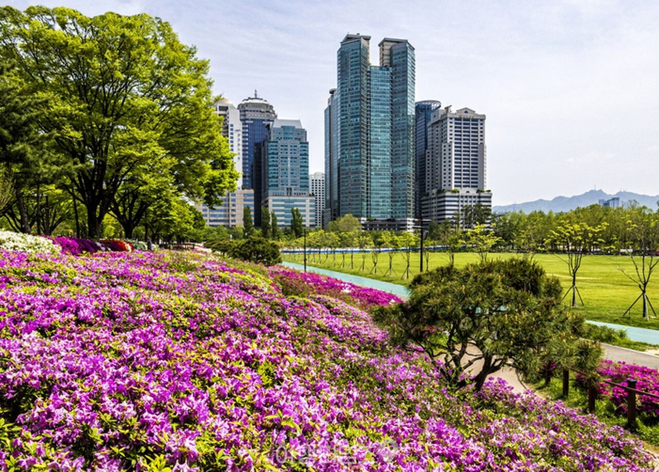 보라매공원 / 사진=게티이미지뱅크