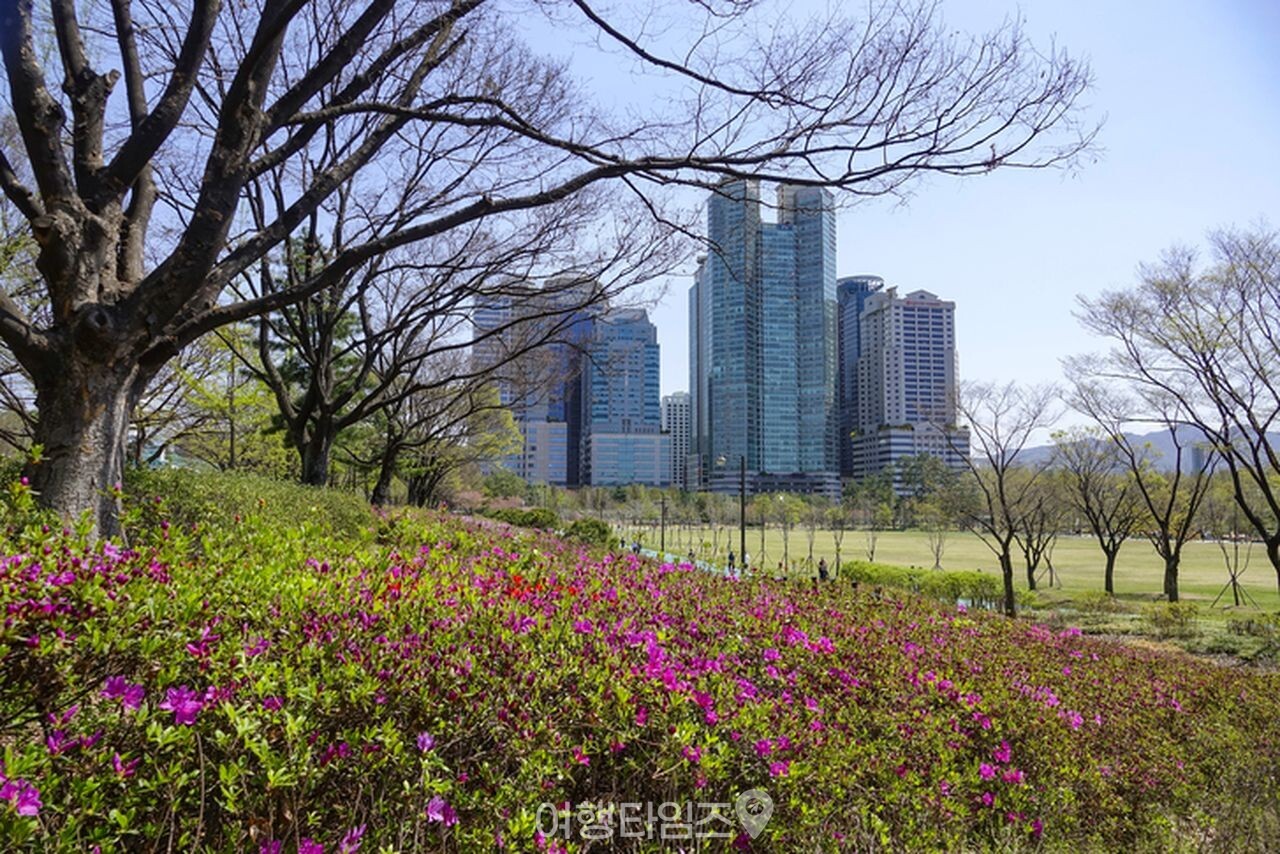 보라매공원 / 사진=게티이미지뱅크