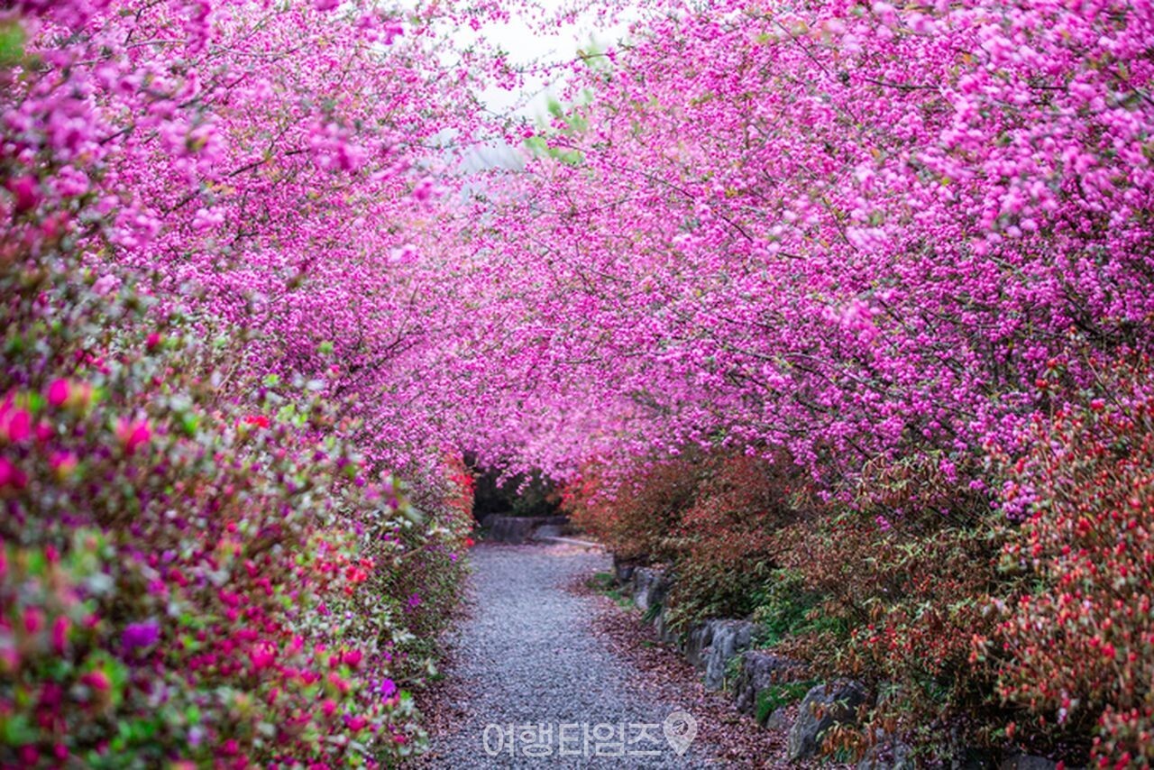 강진 남미륵사 사찰 / 사진=게티이미지뱅크