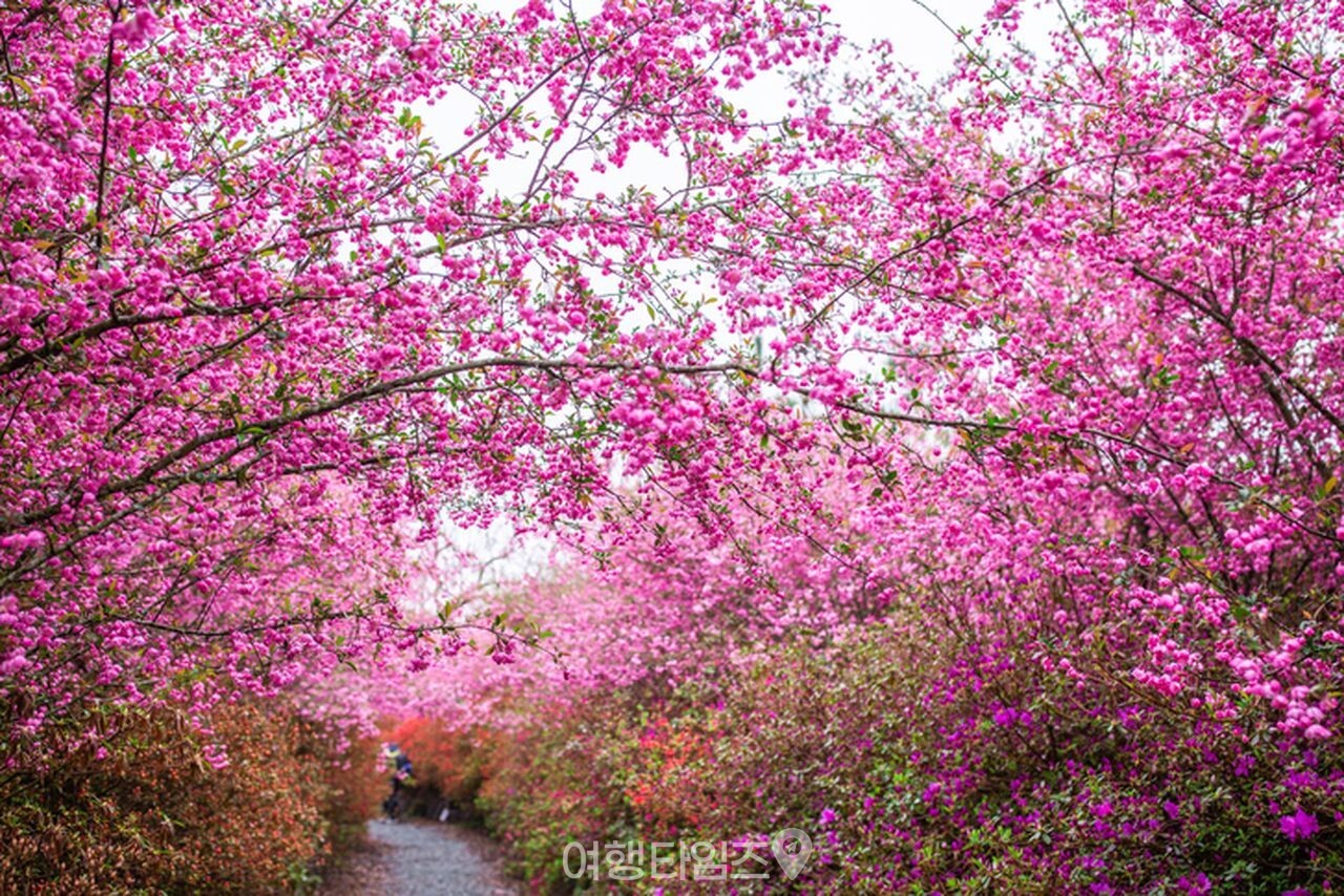 강진 남미륵사 사찰 / 사진=게티이미지뱅크
