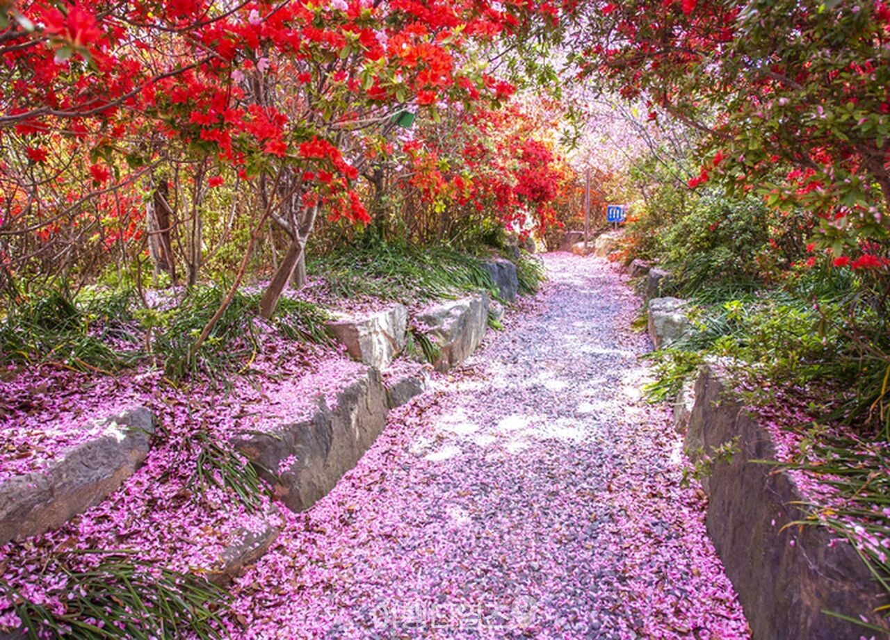 강진 남미륵사 사찰 / 사진=게티이미지뱅크