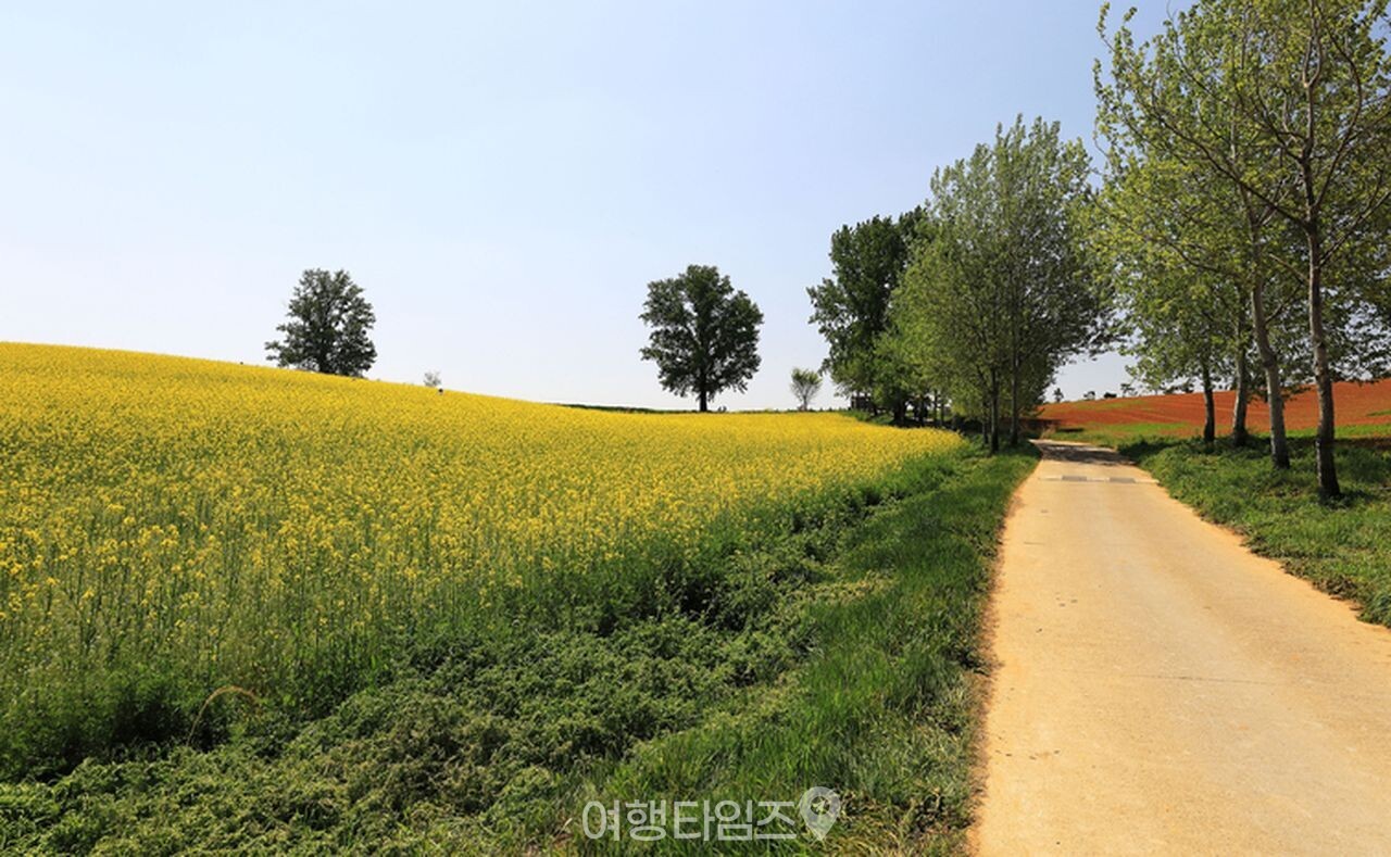안성팜랜드 / 사진=게티이미지뱅크