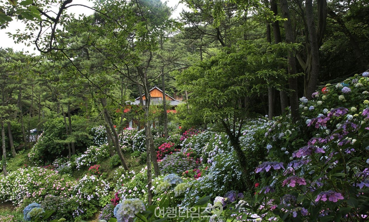 부산 태종대 / 사진=게티이미지뱅크