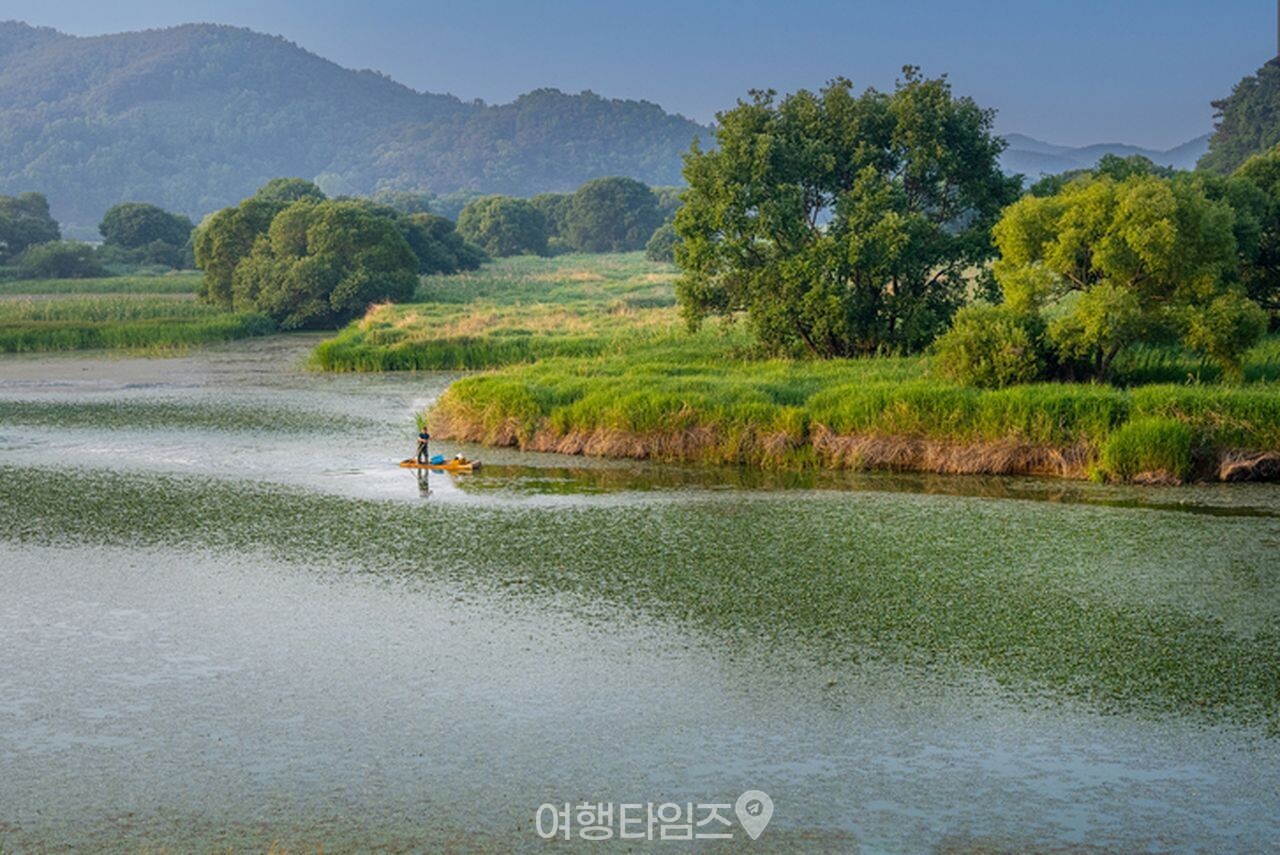 우포늪 / 사진=게티이미지뱅크