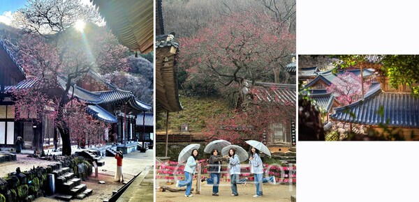 사진 / 휴대폰 부문 홍보국장스님상, 홍보기획위원장상, 교무국장스님상