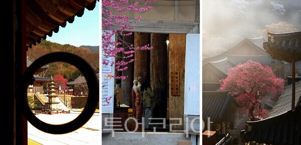 사진 / 휴대폰 부문, 최우수상(김향숙_한옥문 고리 너머로 본 홍매화), 총무국장스님상, 포교국장스님상 )
