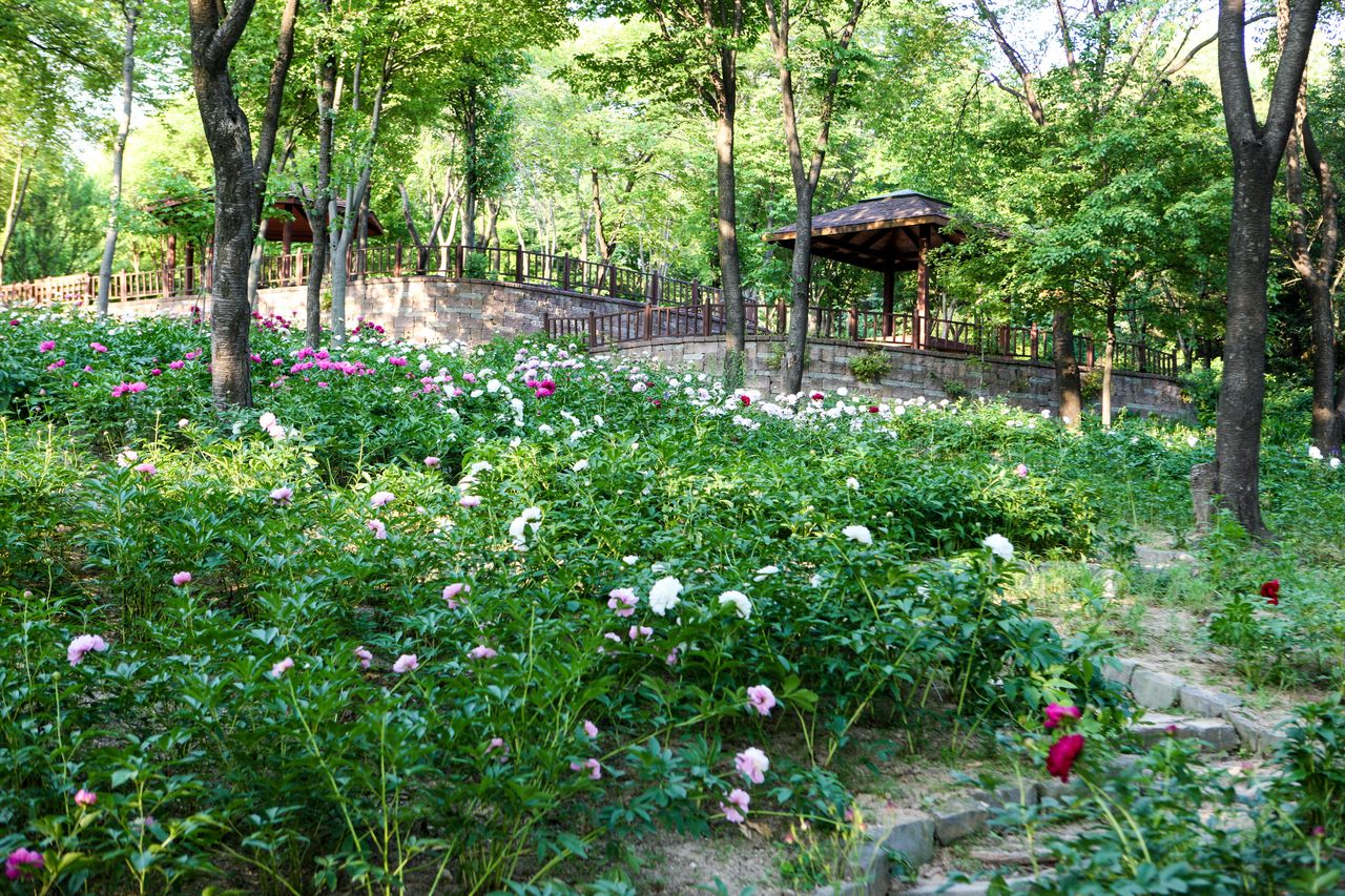 한택식물원 / 한국관광공사-김지호