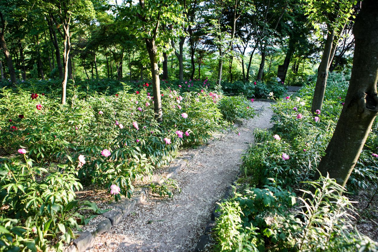 한택식물원 / 한국관광공사-김지호