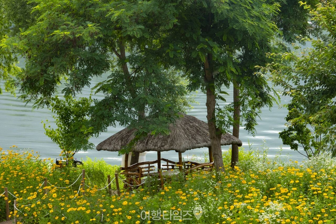 자라섬 / 사진=게티이미지뱅크
