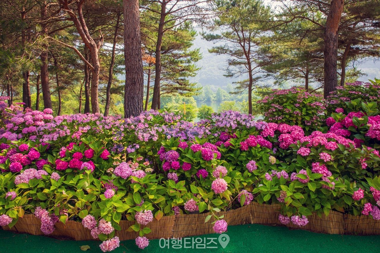 자라섬 / 사진=게티이미지뱅크