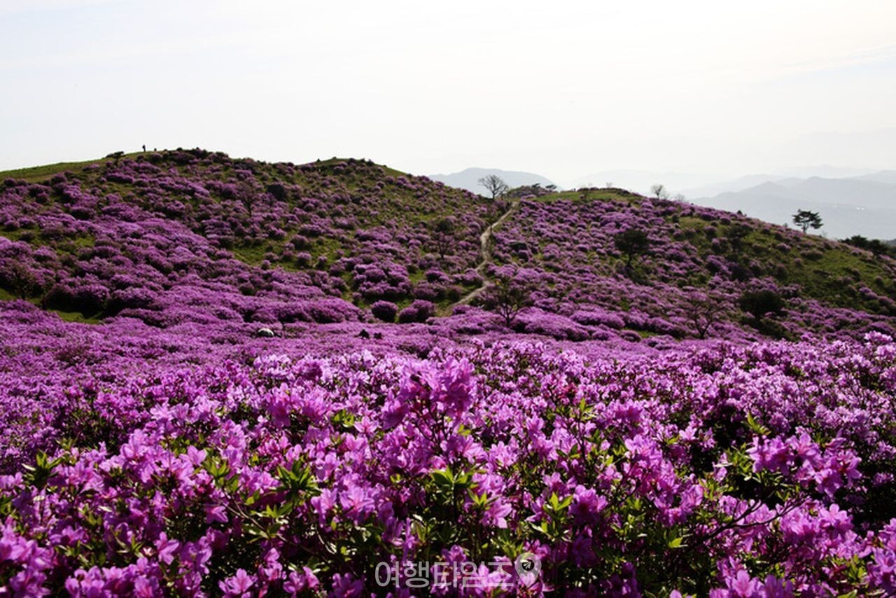 합천호 / 사진=게티이미지뱅크