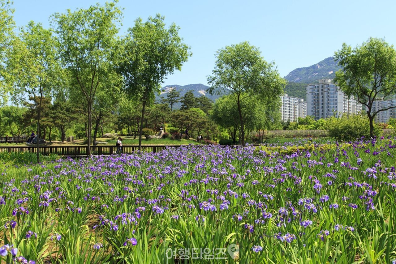 창포원 / 사진=게티이미지뱅크