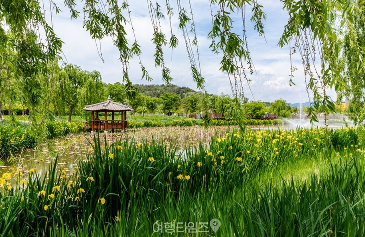 창포원 / 사진=게티이미지뱅크
