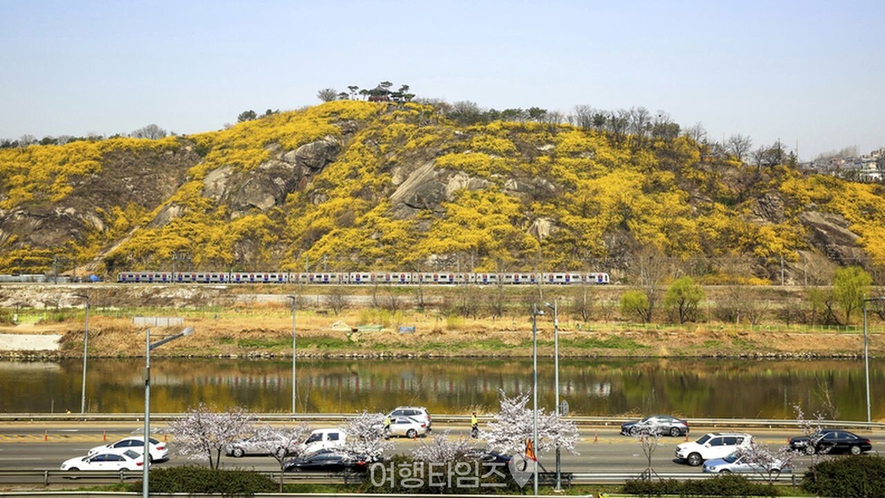 서울 응봉산 / 사진=게티이미지뱅크